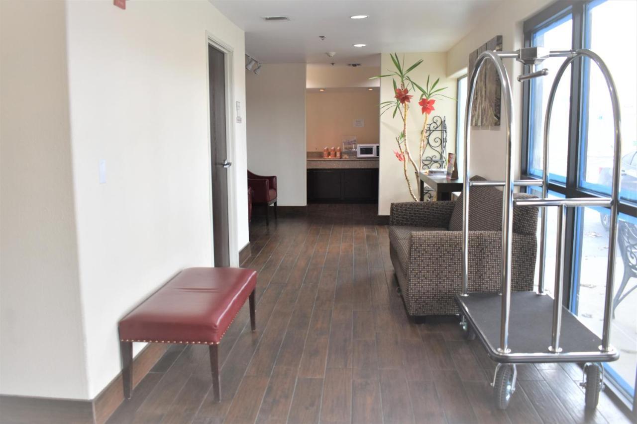 Super 8 By Wyndham New Braunfels I-35 Hotel Bagian luar foto